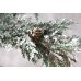 Χριστουγεννιάτικο Χιονισμένο Δέντρο με Σακί (1,70m)
